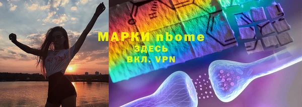 прущие грибы Козловка