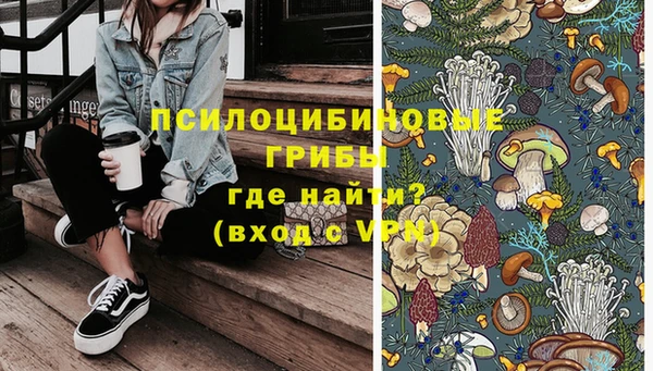прущие грибы Козловка