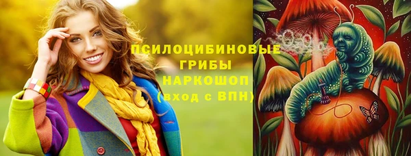 тгк Коряжма