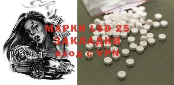 прущие грибы Козловка
