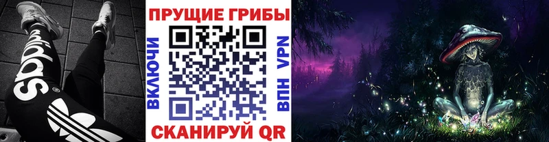 Псилоцибиновые грибы GOLDEN TEACHER  shop наркотические препараты  Каспийск 