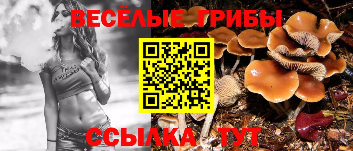 Галлюциногенные грибы прущие грибы  Галлюциногенные грибы GOLDEN TEACHER  Вход с VPN  Каспийск 